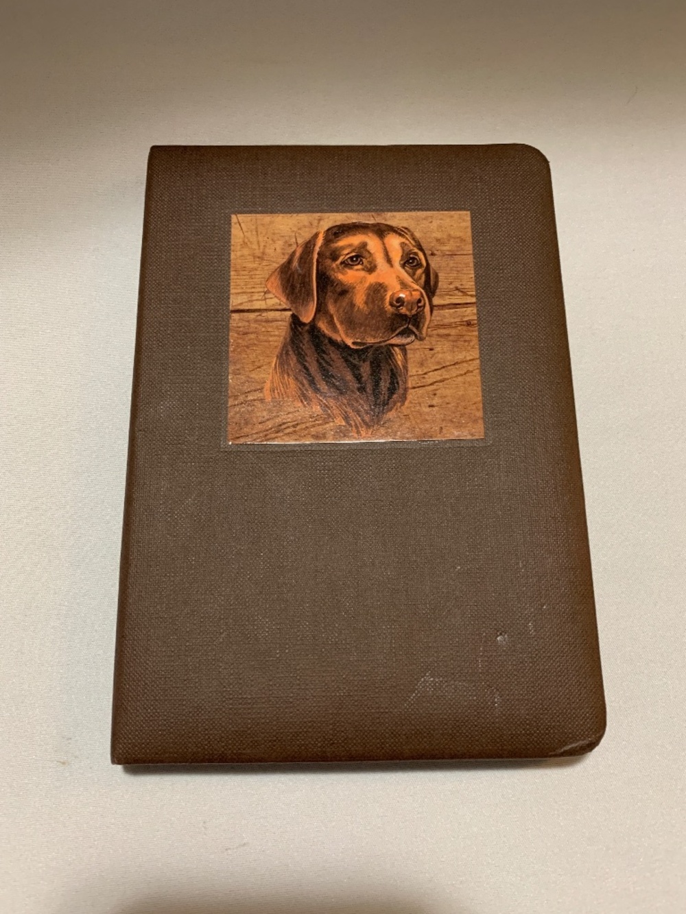 Brown Faux Leather Fold Out Photo Book - Chocolate Labrador Retriever on Cover